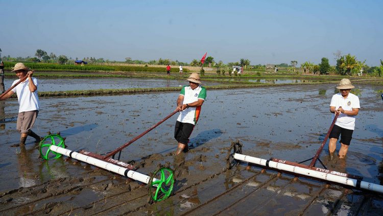 Badung Mulai Modernisasi Pertanian dengan PMAAS