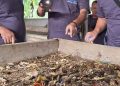 Kutim Ubah Sampah jadi Makanan Ternak