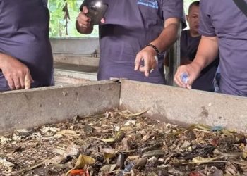 Kutim Ubah Sampah jadi Makanan Ternak
