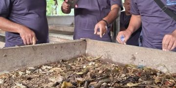 Kutim Ubah Sampah jadi Makanan Ternak