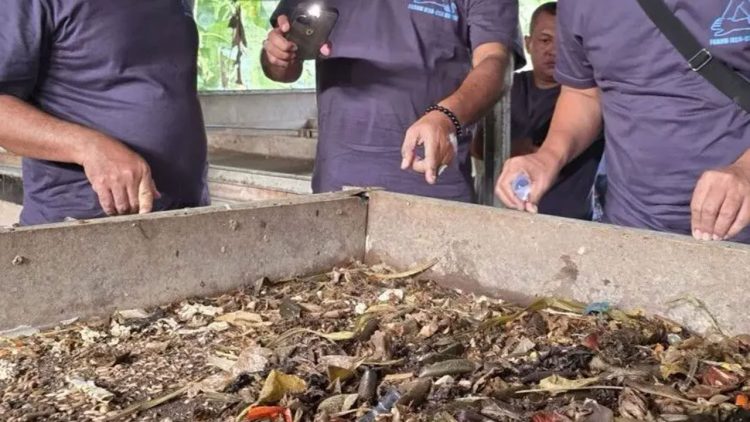 Kutim Ubah Sampah jadi Makanan Ternak