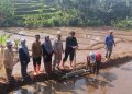 Dengan Padi Tabela Pertanian Modern Diterapkan di Cianjur