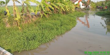 Kementerian PU Normalisasi Saluran Sekunder Tambun