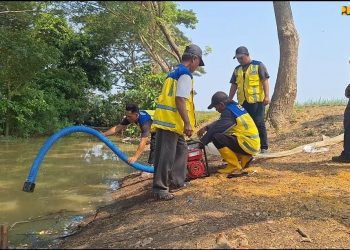 Terjunkan 10 Pompa, Kementerian PU Selamatkan 300 Hektare Sawah Kekeringan di Sentra Padi Karawang