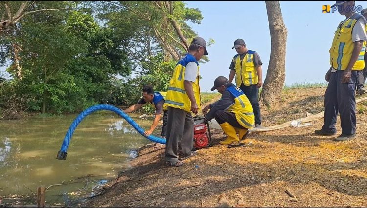 Terjunkan 10 Pompa, Kementerian PU Selamatkan 300 Hektare Sawah Kekeringan di Sentra Padi Karawang