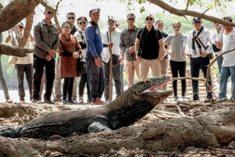 Hari Pariwisata Dunia, Menteri Pariwisata Luncurkan Indonesia Tourism Outlook 2026/2027