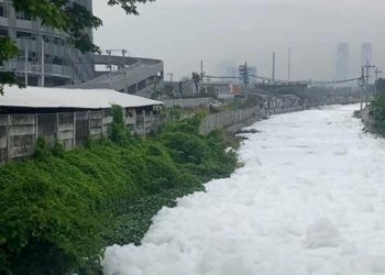 Kali Surabaya Dinilai Tercemar Berat