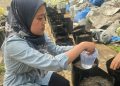 Polinela Kembangkan Biochar untuk Tanaman Rampai