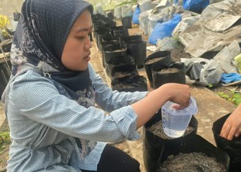 Polinela Kembangkan Biochar untuk Tanaman Rampai