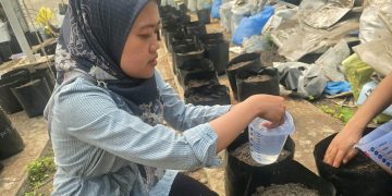 Polinela Kembangkan Biochar untuk Tanaman Rampai