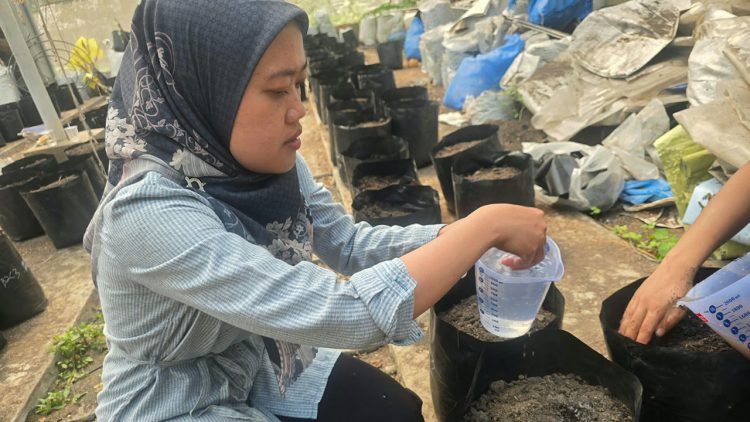 Polinela Kembangkan Biochar untuk Tanaman Rampai