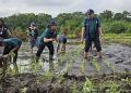 Kaltim Larang Peredaran Benih Tanaman Pangan Tanpa Sertifikasi