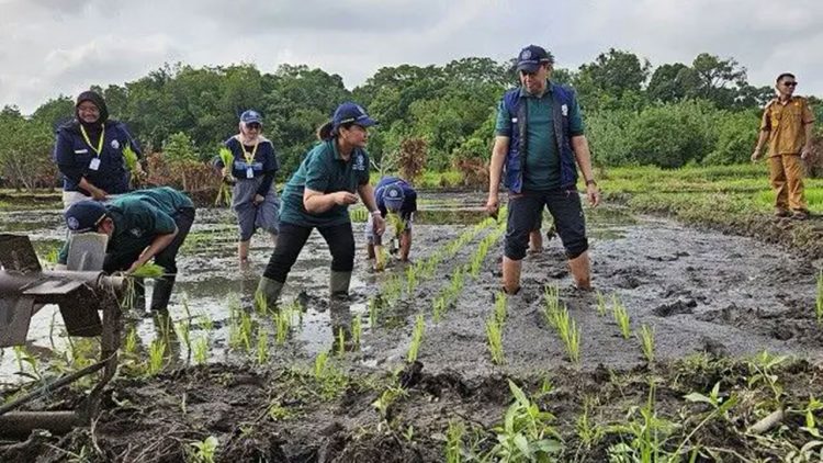Kaltim Larang Peredaran Benih Tanaman Pangan Tanpa Sertifikasi
