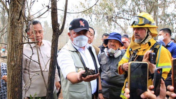 Sumsel Uji Teknologi Brasil untuk Penanganan Karhutla