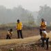 PISEW Kementerian PU Serap 8.011 Tenaga Kerja