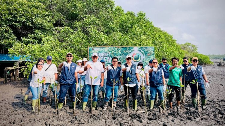 IAS Group Tanam 2.500 Mangrove untuk Jaga Ekosistem Teluk Benoa