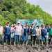 IAS Group Tanam 2.500 Mangrove untuk Jaga Ekosistem Teluk Benoa
