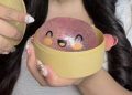 Kemendag Uji Lima Sampel Squishy Dumpling untuk Pastikan Keamanan